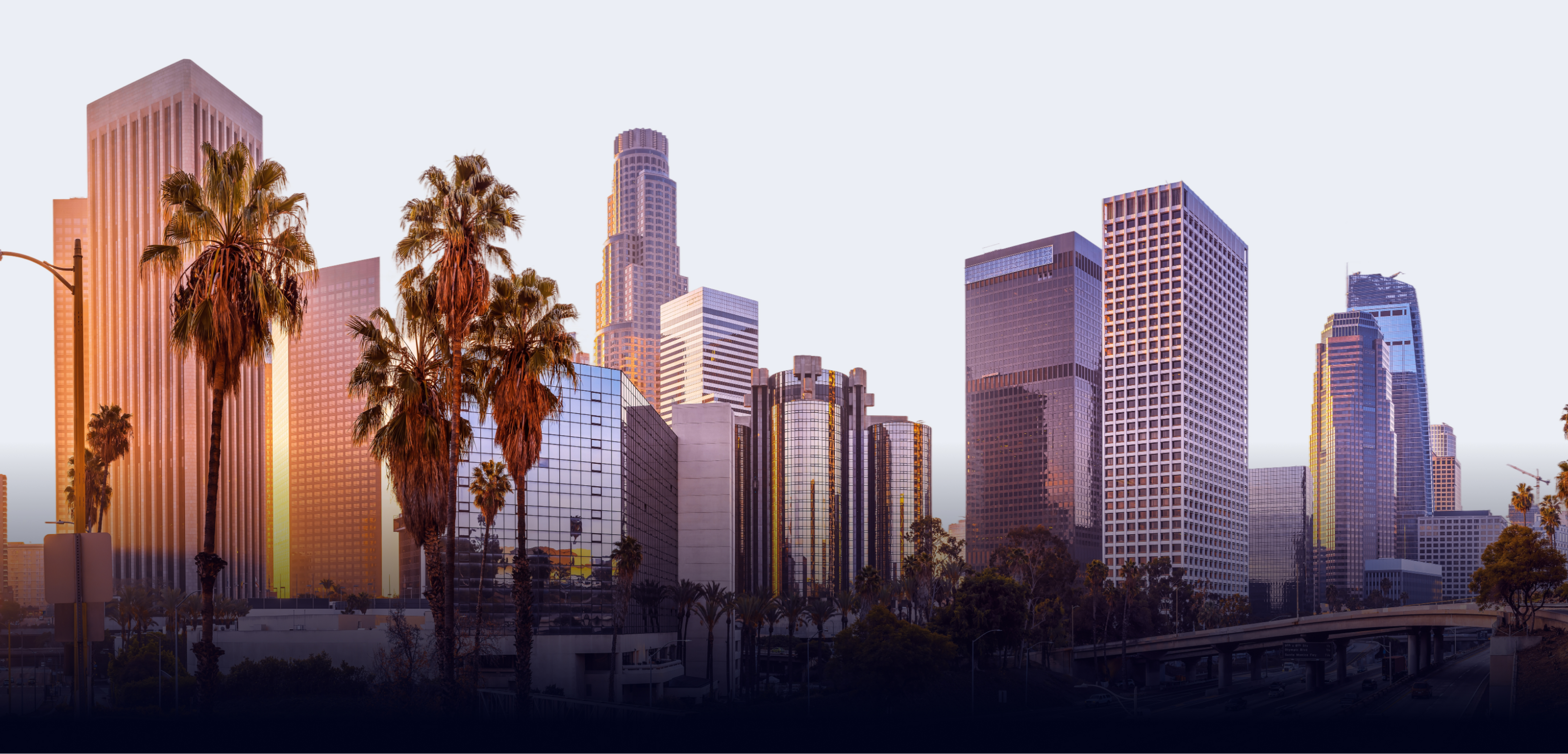 Abogados Campeones – Abogados Profesionales de Lesiones a tu Servicio