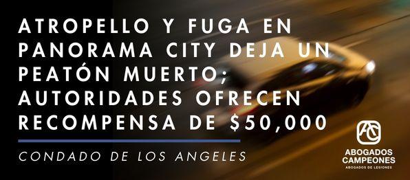 Atropello y fuga en Panorama City