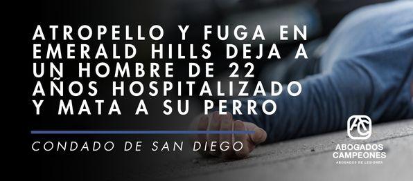 Atropello y fuga en Emerald Hills