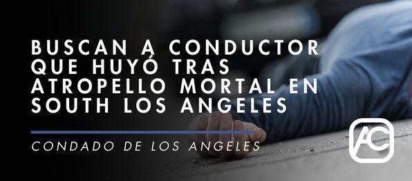 Atropello Mortal en South Los Angeles