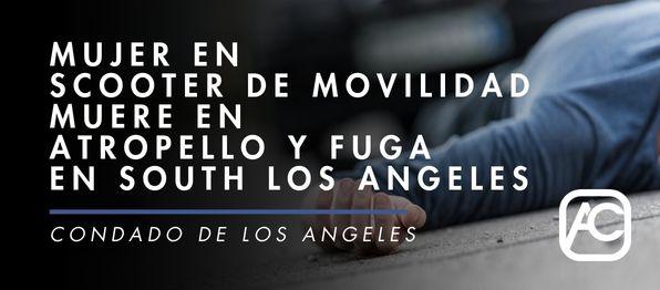 Atropello y Fuga en South Los Angeles