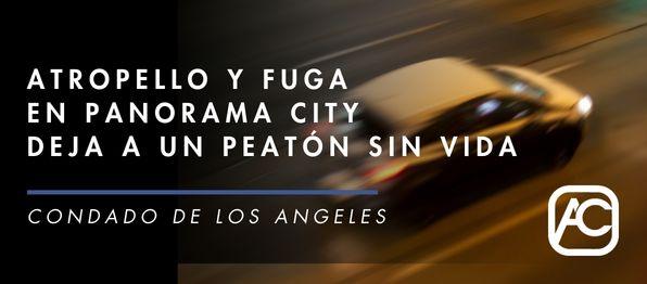 Atropello y fuga en Panorama City